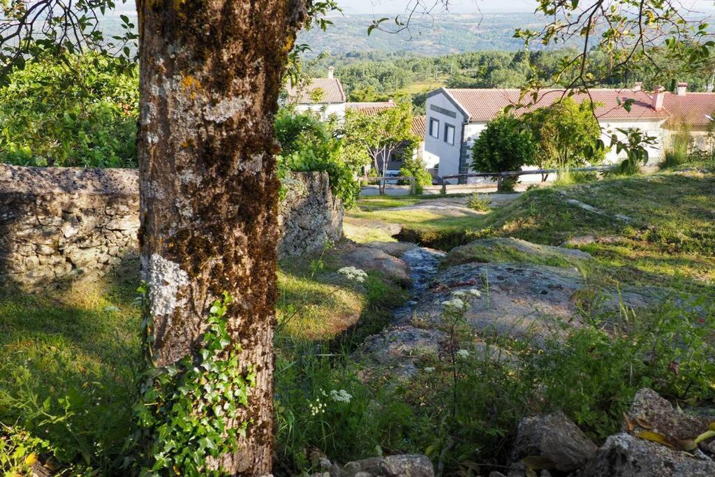 شقة El Bosque De Los Romanos Puerto de Béjar المظهر الخارجي الصورة