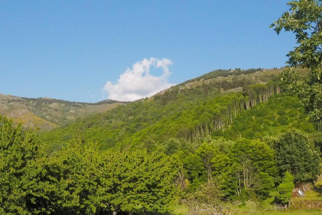 شقة El Bosque De Los Romanos Puerto de Béjar المظهر الخارجي الصورة
