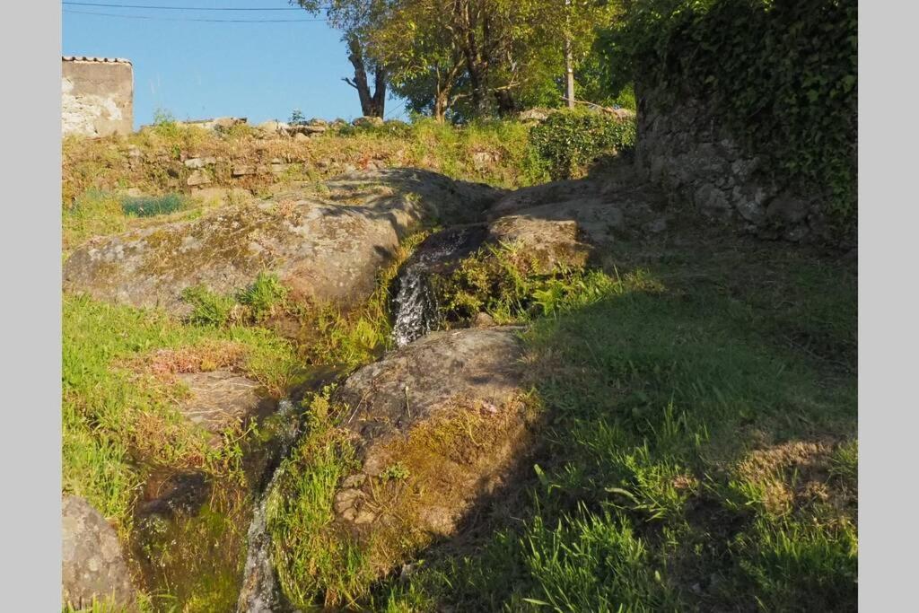 شقة El Bosque De Los Romanos Puerto de Béjar المظهر الخارجي الصورة